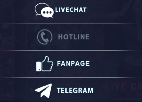 Dịch vụ khách hàng tận tình